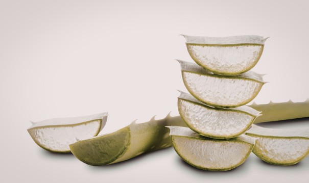 Aloe Vera for Soothing Irritation
