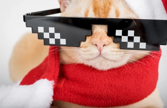 What Is the Great Meme Reset 2026?